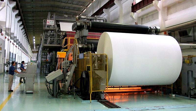 Pulp-and-Paper Pulp and Paper